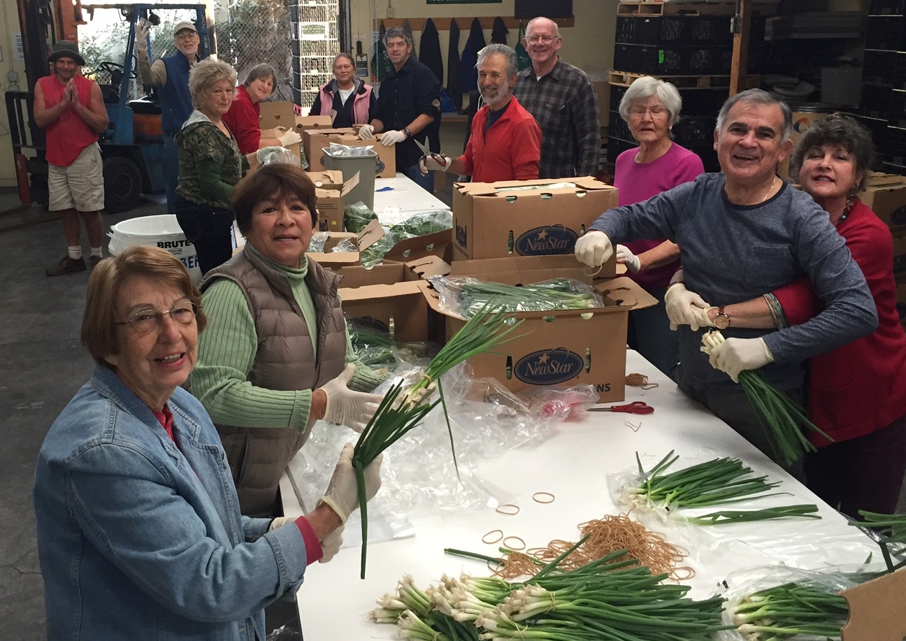 Grey Bears Connect Sustain Recycle