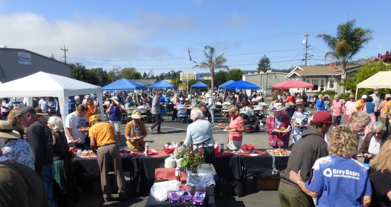 Grey Bears Connect Sustain Recycle