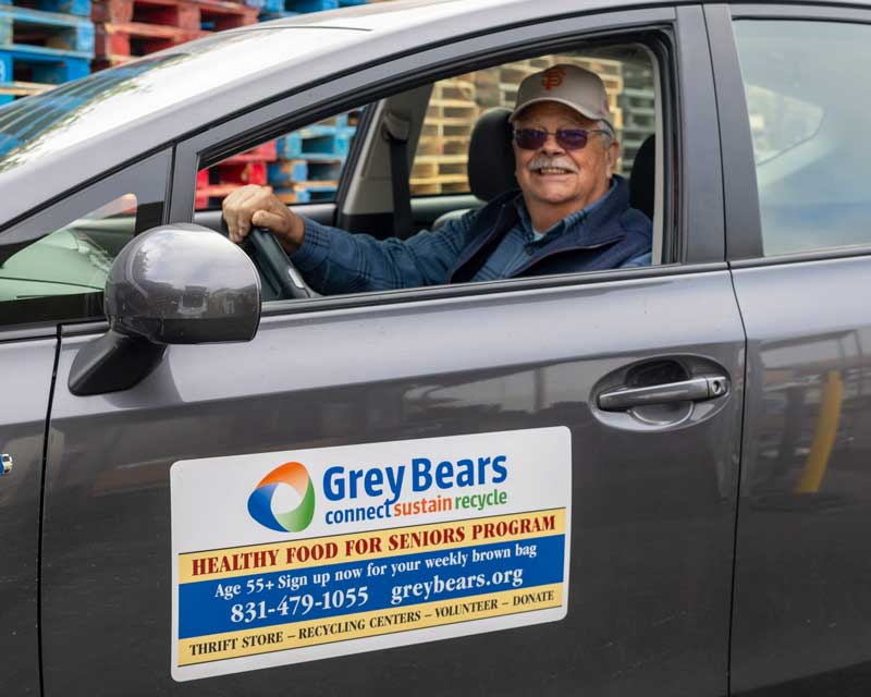 Grey bears logo on car